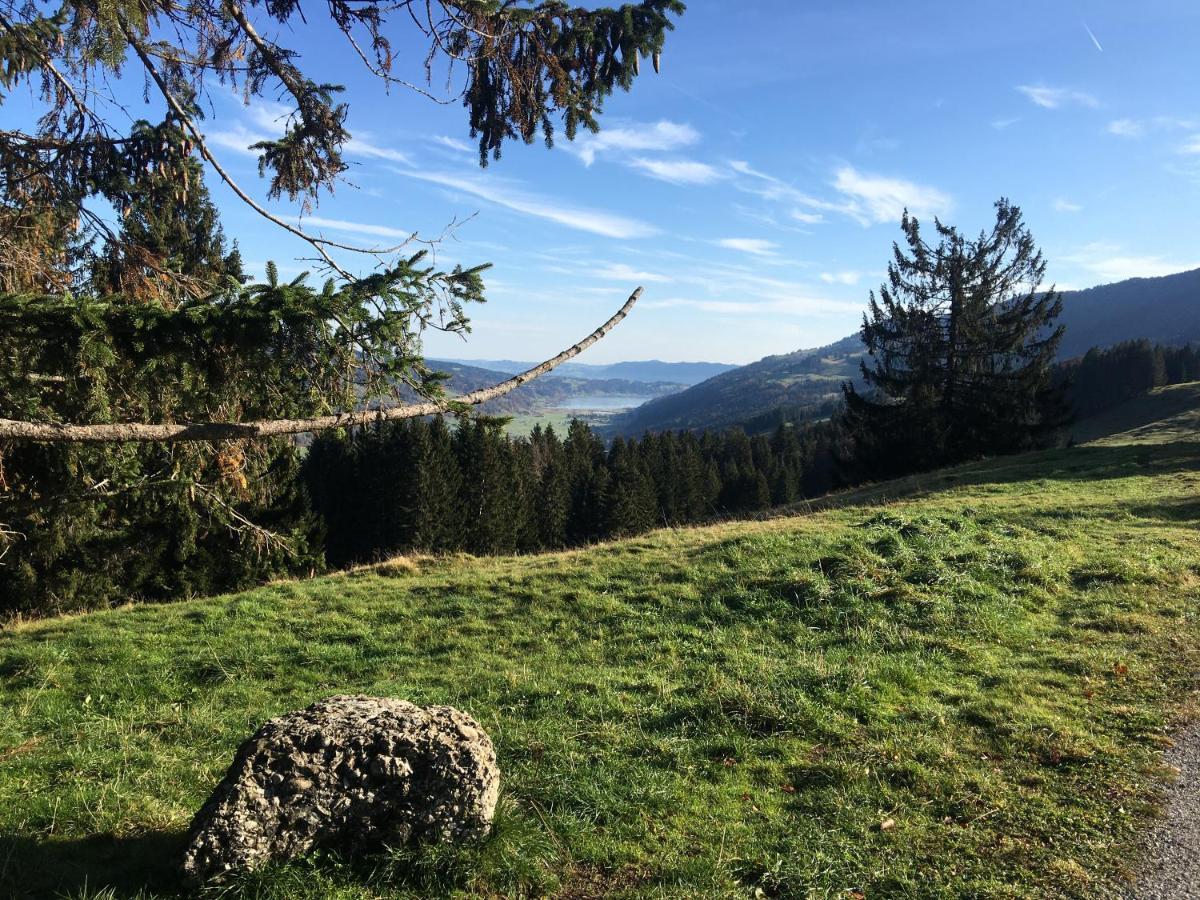 Weitnaustyle - Renoviert, Modern, Allergikerfreundlich