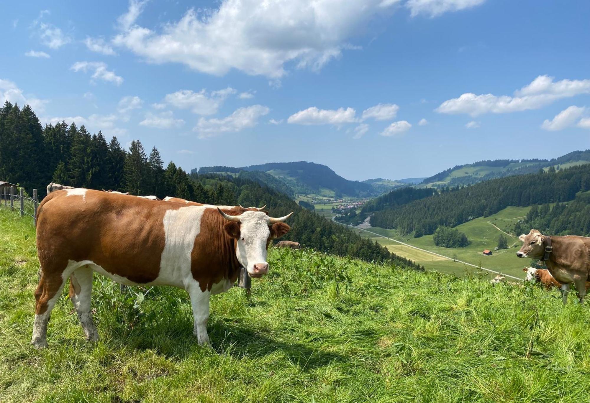 Weitnaustyle Weitnau